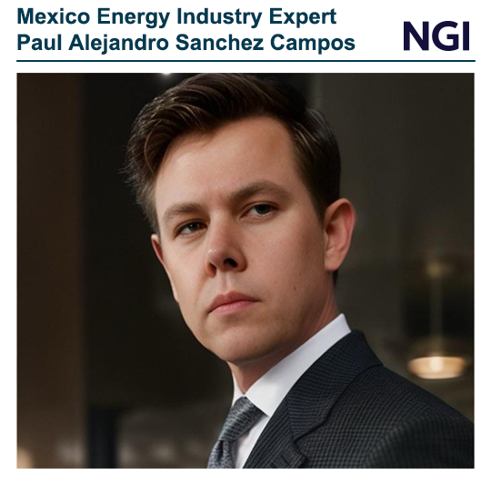 mexico-energy-industry-expert-paul-alejandro-sanch