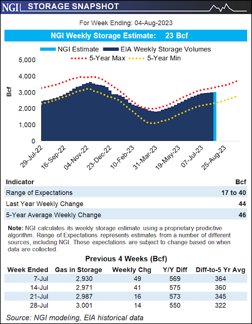 ngi-storage-snapshot-31