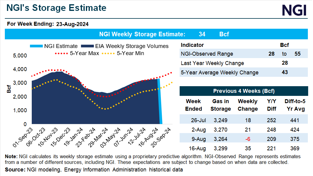 NGI-Storage-Snapshot (13)